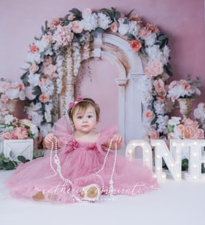 Image of First Birthday (Cake Smash) Session $250.00 - email me to book.