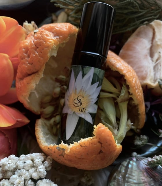 Image of Solar Anointing Oil  (Tangerine, Amber, Frankincense)