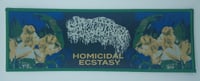 Official Sanguisugabogg - Homicidal Ecstasy Green Border Stripe Patch