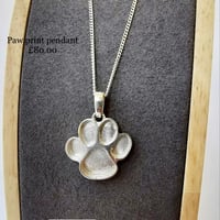 Paws for a moment
