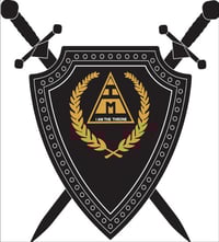 Image 5 of The Black Knight of I Am The Throne | Metallic Gold | Hoodie + T Shirt +  Gym Bag