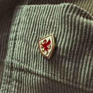 Image of SO58 Fifteen Years  Anniversary Pin badge 