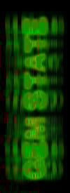 GLITCH