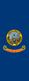 STATE FLAG 
