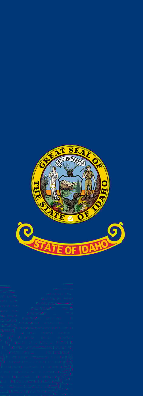 STATE FLAG 
