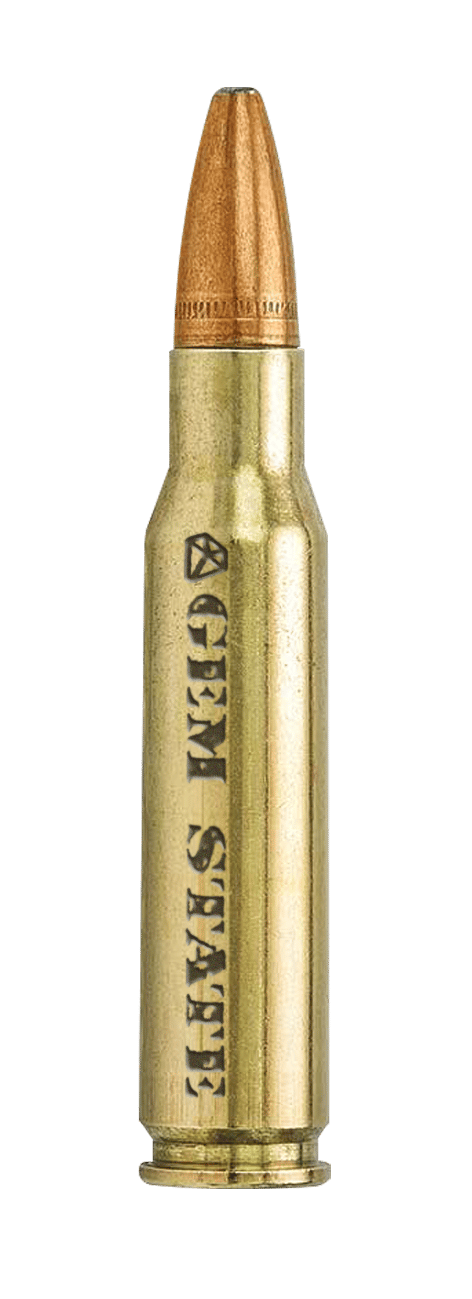 BULLET 
