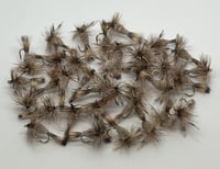 Image 1 of Irresistible Adams