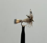 Image 2 of Irresistible Adams