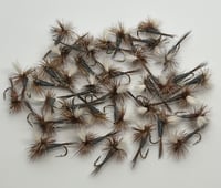 Image 1 of Parachute Adams