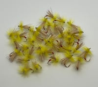 Image 1 of Yellow Sally