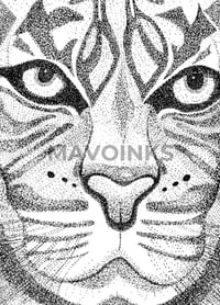 Image 1 of "Tiger"