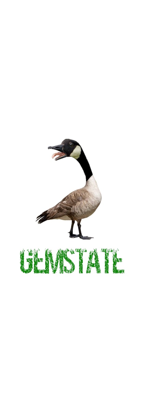 GOOSE