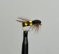 Image 2 of Wasp