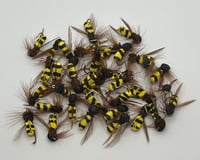 Image 1 of Wasp