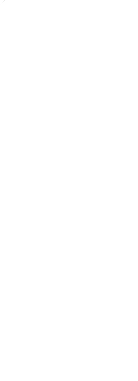 FOUR DOWN WHITE
