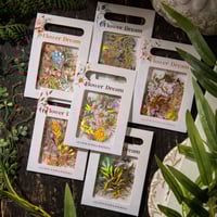 Image 1 of LakoArt 240 Pieces Gold Foil Botanical Stickers with Clear Background