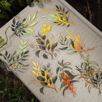 Image 4 of LakoArt 240 Pieces Gold Foil Botanical Stickers with Clear Background