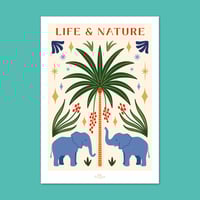 Image 1 of Life & Nature