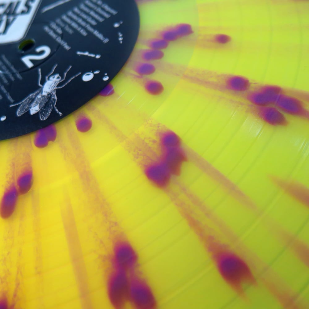 h4>SURF PUNKS</h4><h5> Locals Only LP</h5><h6>Beach Gunk