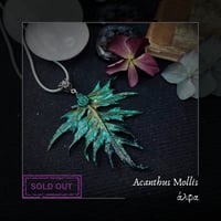 Image 1 of ☽ Acanthus Mollis ☾