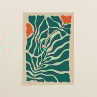 Image 1 of Marcella