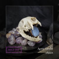 Image 3 of ☽ Agata Cerulea ☾