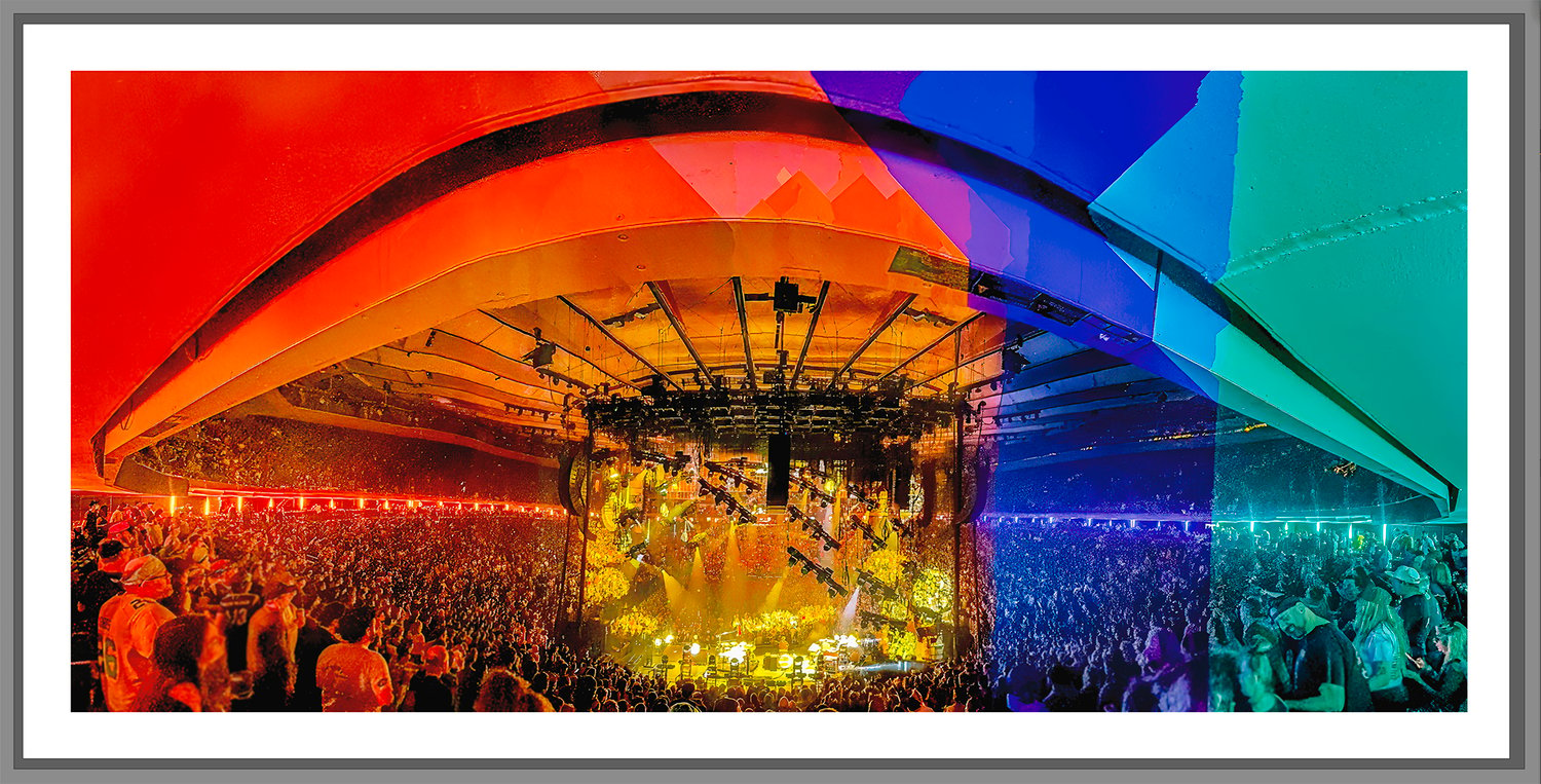 YEMSG '24-25 N3 Mushroom Pano