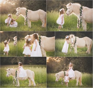 Image of Unicorn Mini Sessions