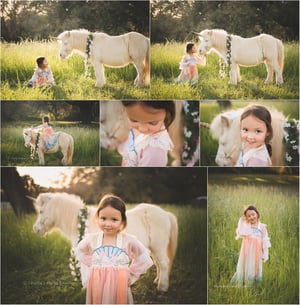 Image of Unicorn Mini Sessions
