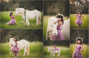 Image of Unicorn Mini Sessions