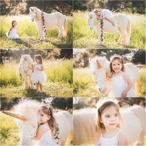 Image of Unicorn Mini Sessions