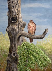 VIGILANT HAWK PAINTING