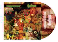 Image 2 of Goreossion / Hematemesis Split Cd 