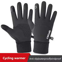 Thermify Gloves X