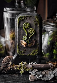 Image 2 of Family of Fiddleheads
