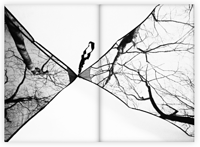 Image 4 of "Memory Lane" Zine 