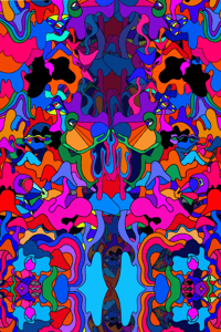 24 4x6