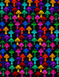 33