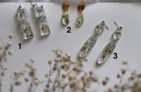 Image 2 of dried flower earrings
