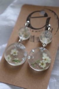 Image 1 of dried flower earrings, matte