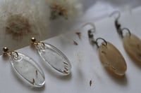 Image 1 of dandelion earrings