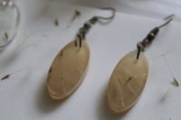 Image 4 of dandelion earrings