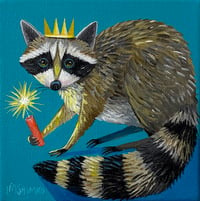 Image 1 of Raccoon Flash