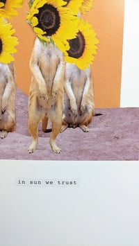Image 2 of In sun we trust