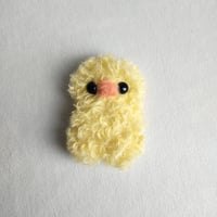Curly phae chick