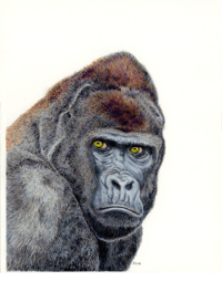 Image 2 of Original Framed Gorilla Painting 10”x13”