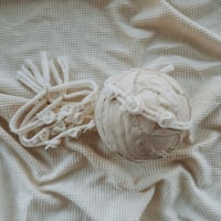 Image 10 of luna