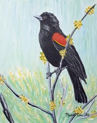 REDWING BLACKBIRD PAINTING