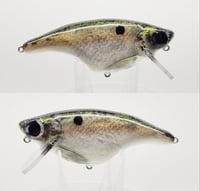 CreekStalker (Natural Shad / Gold )