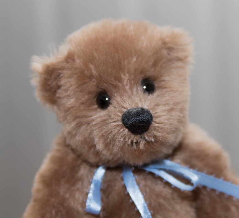 Image of "Teedie" Mohair Bear by artist Barbara Troxel 